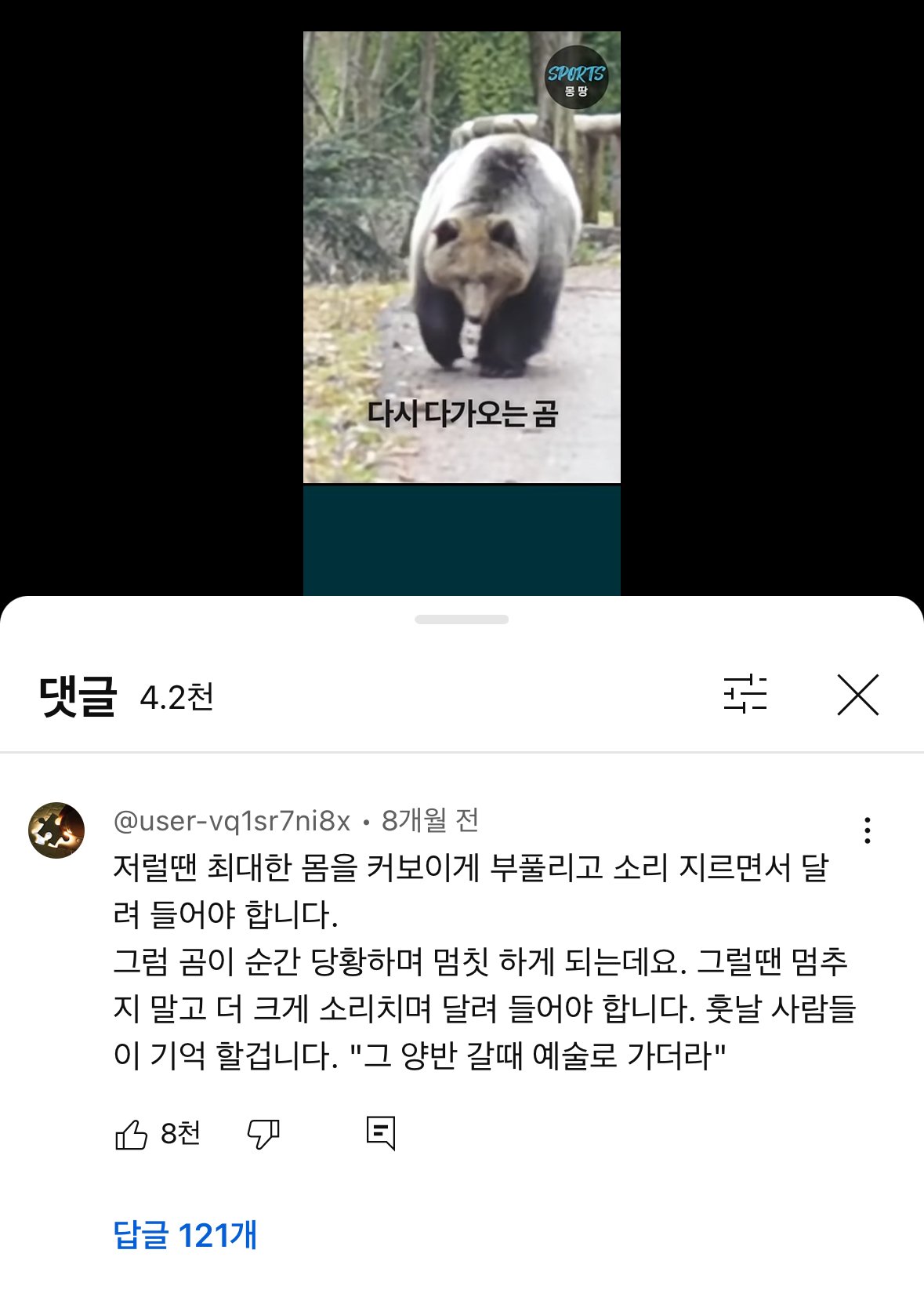 콘텐츠 이미지