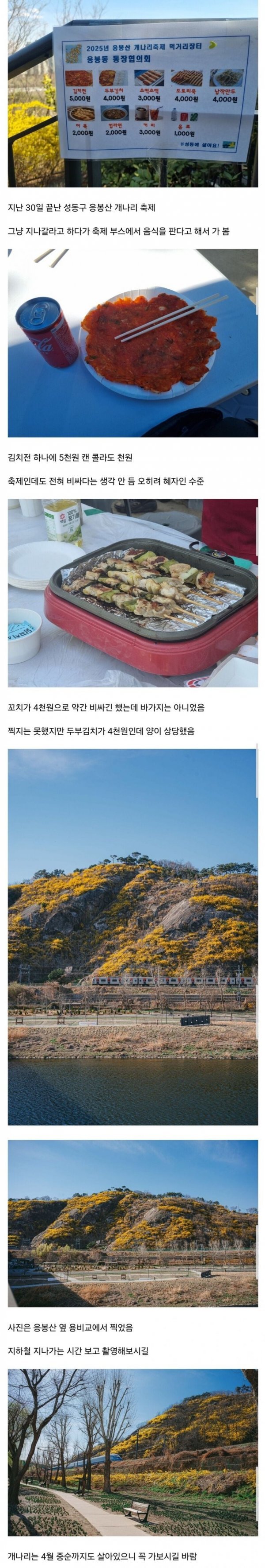 콘텐츠 이미지