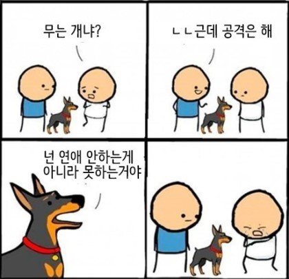 콘텐츠 이미지