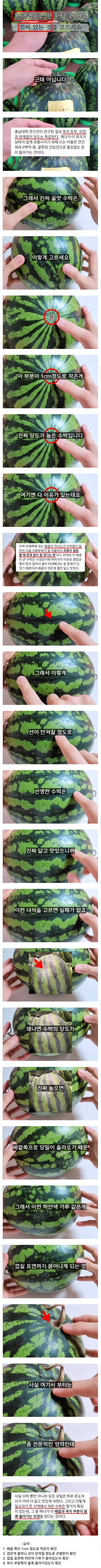 콘텐츠 이미지