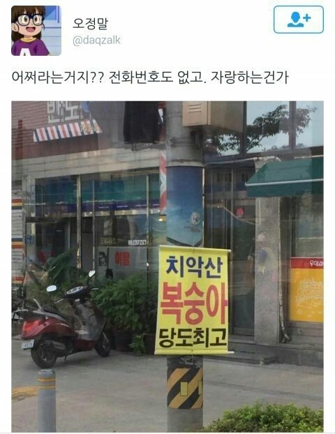 콘텐츠 이미지