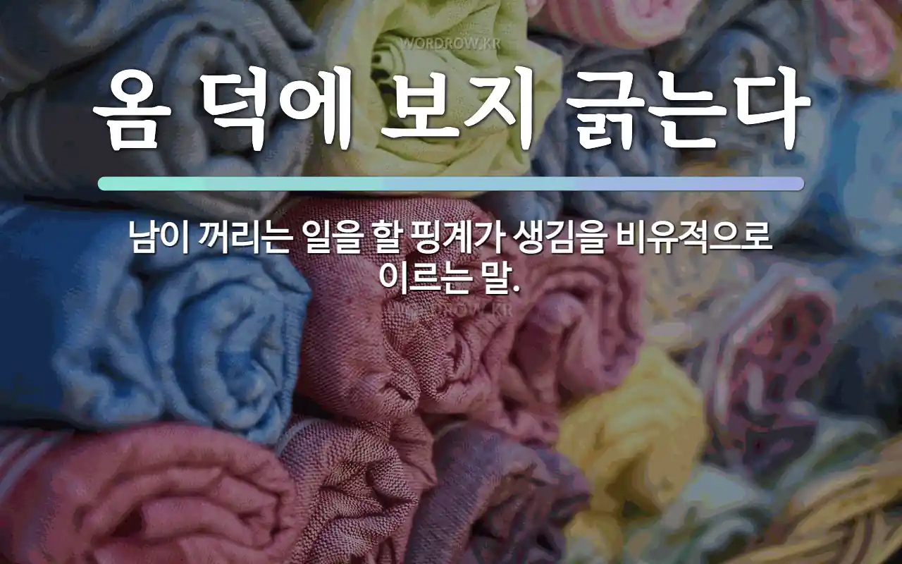 콘텐츠 이미지