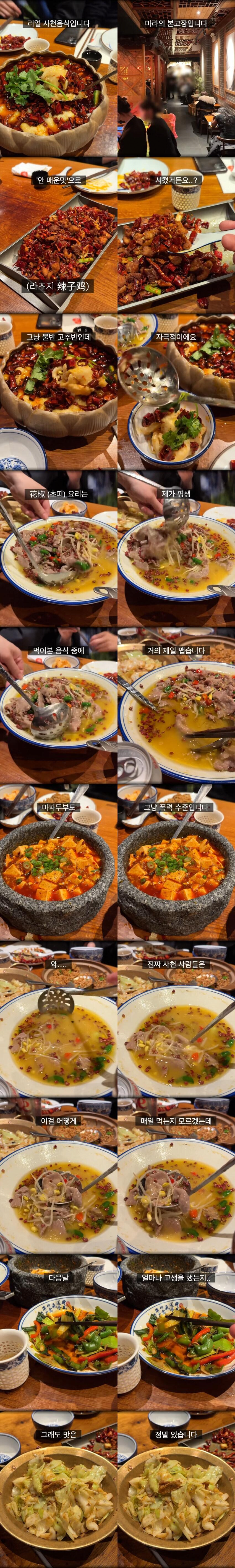 콘텐츠 이미지