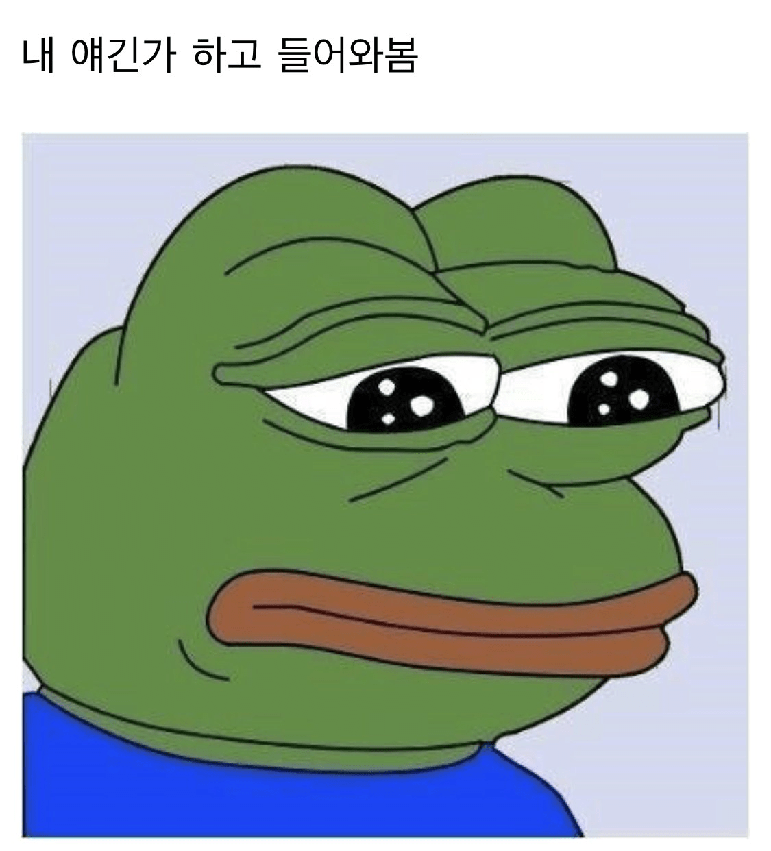 콘텐츠 이미지