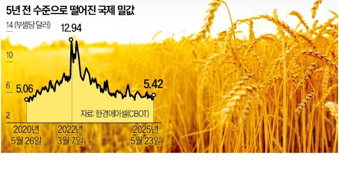 콘텐츠 이미지