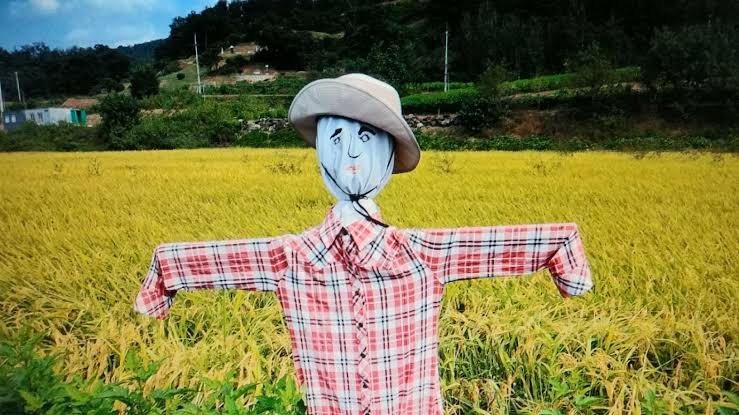 콘텐츠 이미지