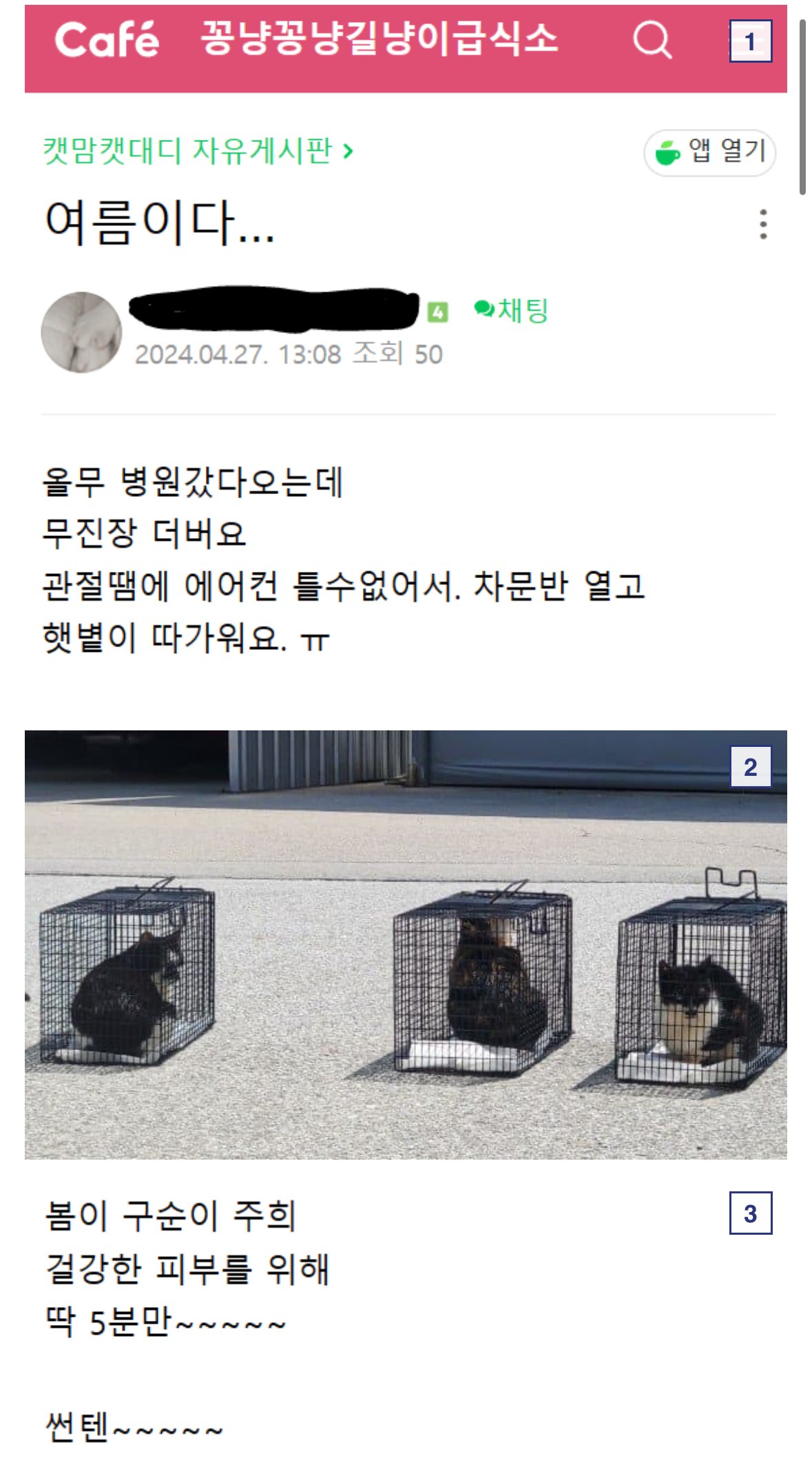콘텐츠 이미지