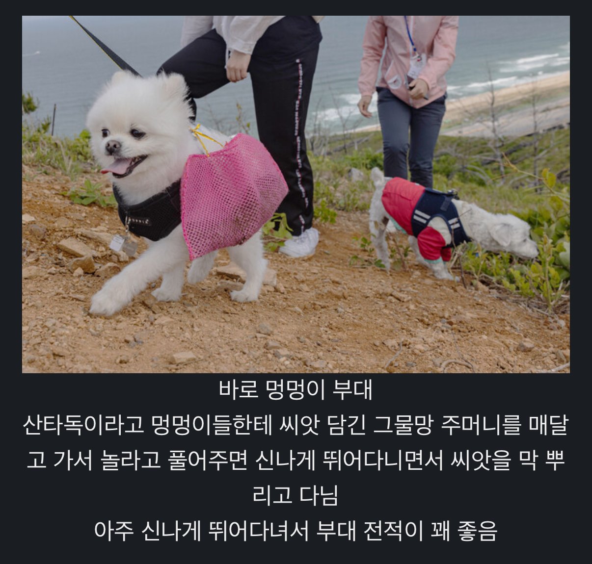 콘텐츠 이미지