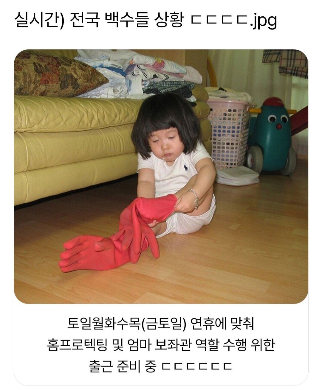 콘텐츠 이미지