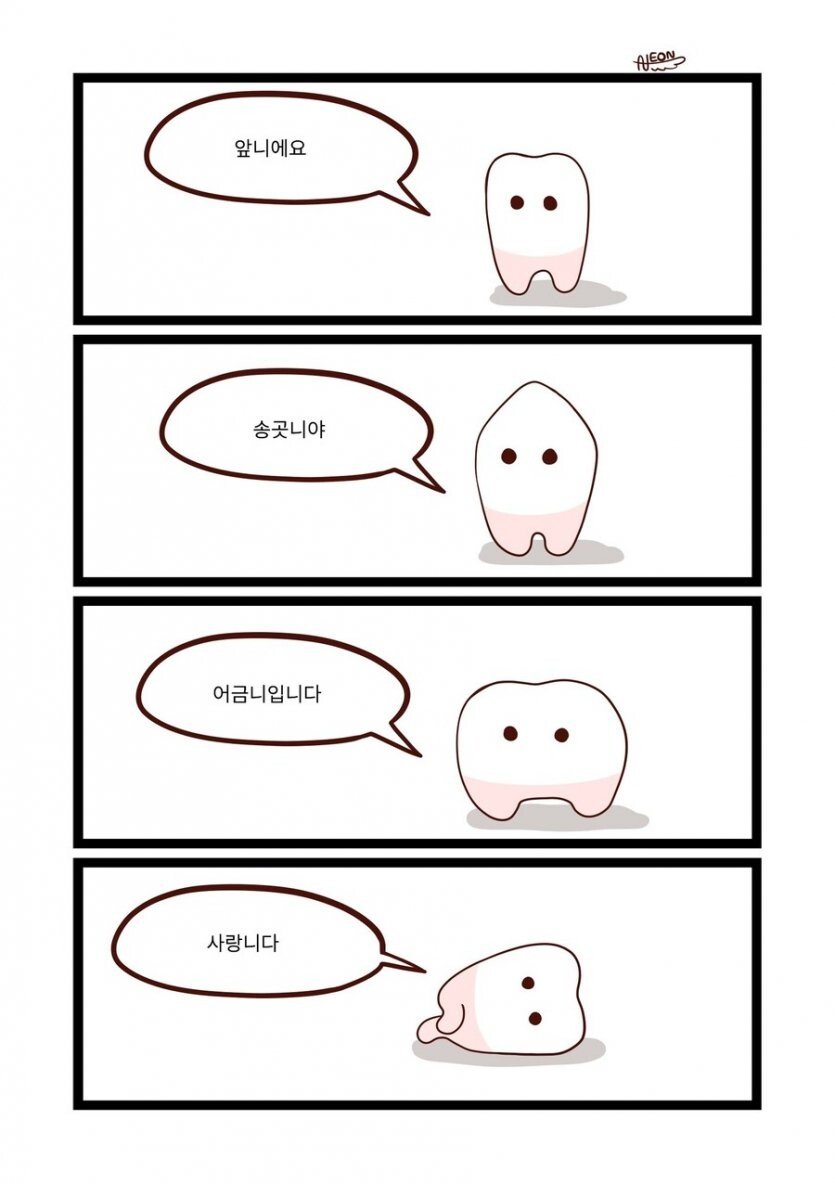 콘텐츠 이미지