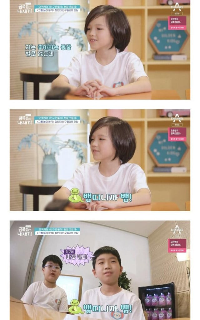 콘텐츠 이미지