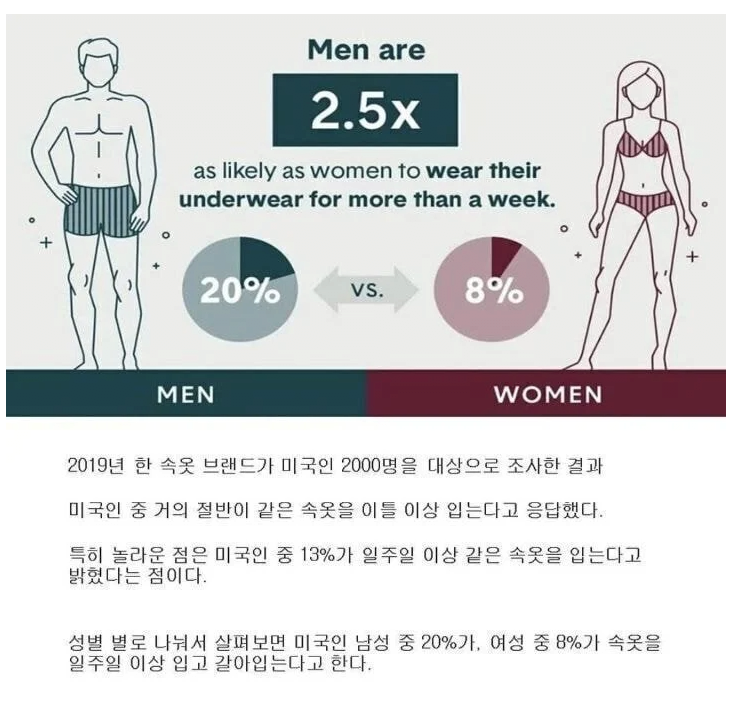 콘텐츠 이미지