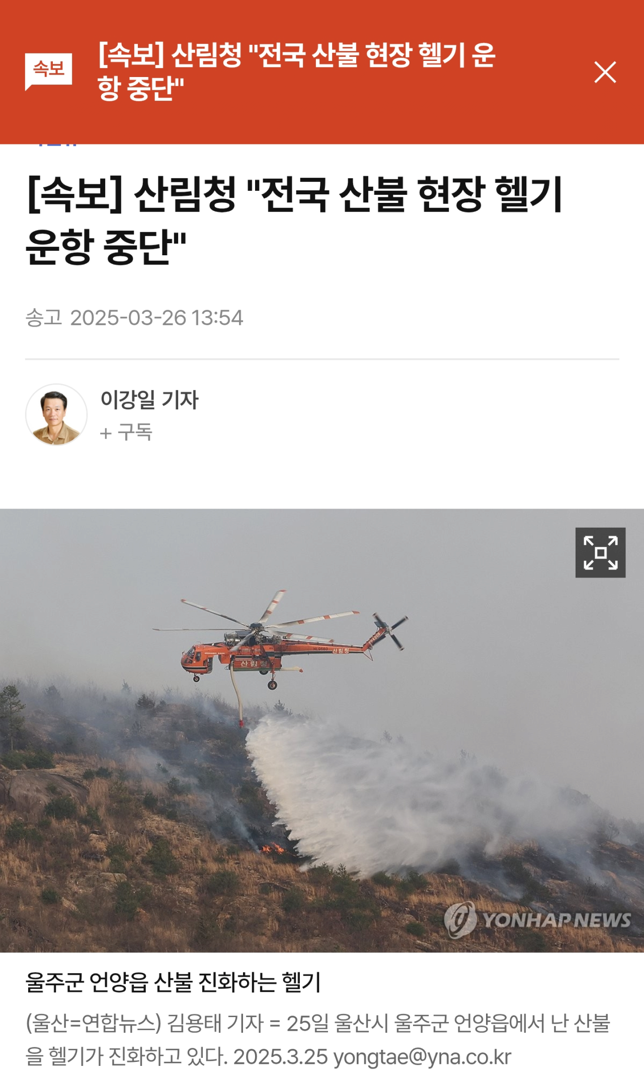 콘텐츠 이미지