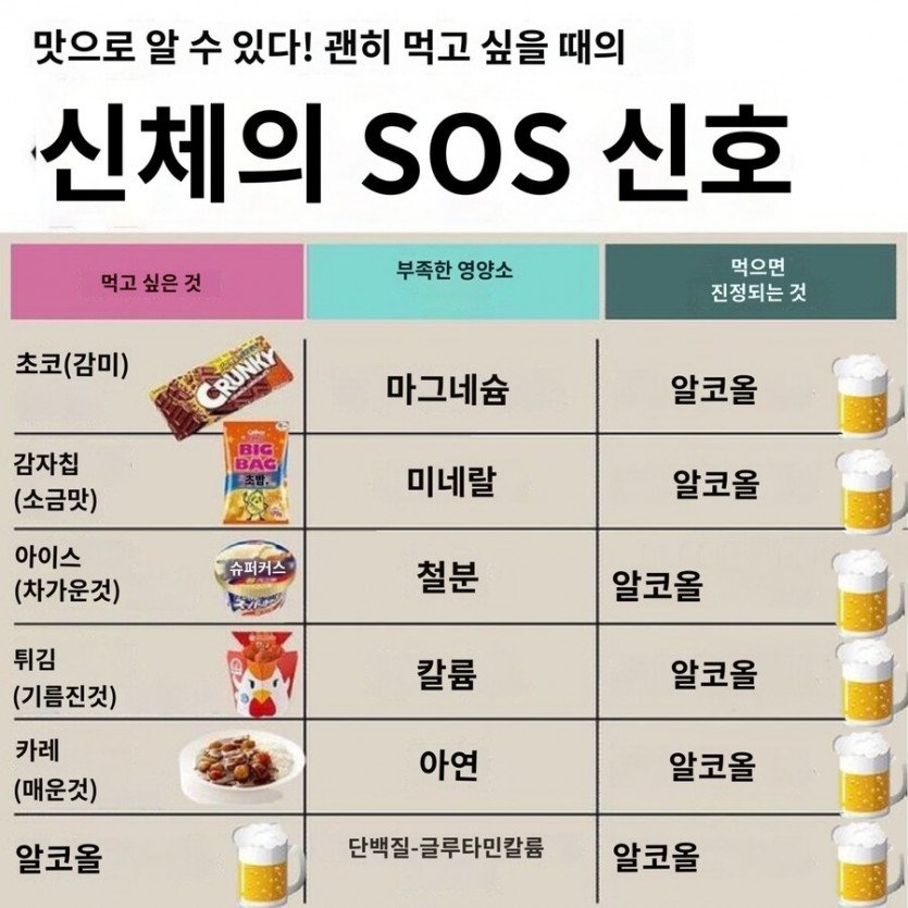 콘텐츠 이미지