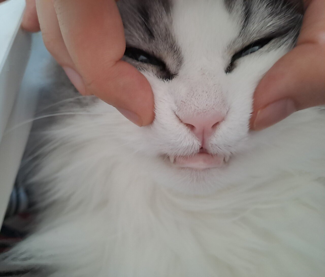 콘텐츠 이미지