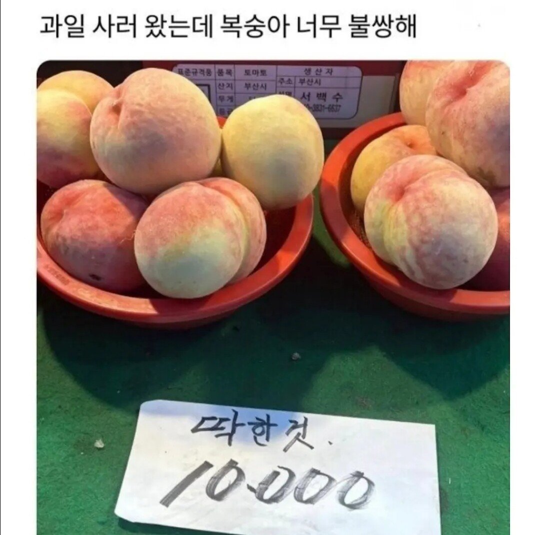 추천콘텐츠 썸네일