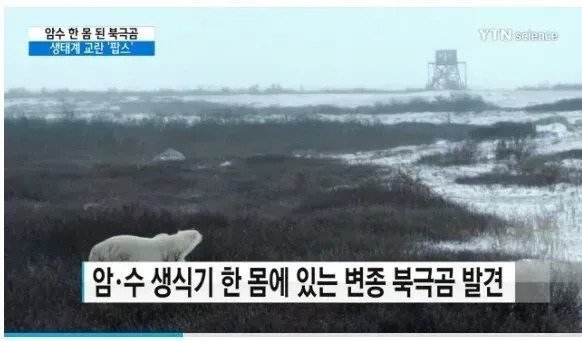 콘텐츠 이미지