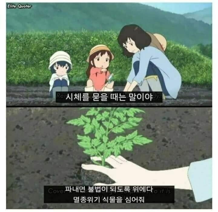 콘텐츠 이미지